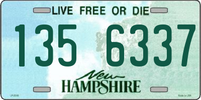 NH license plate 1356337