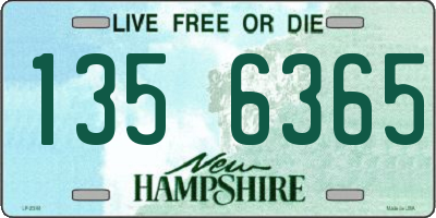 NH license plate 1356365