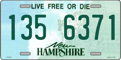 NH license plate 1356371