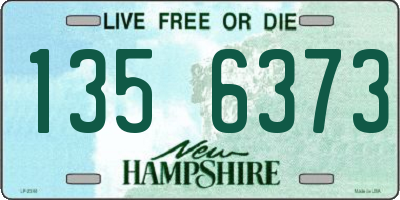 NH license plate 1356373