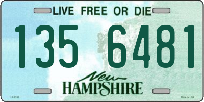 NH license plate 1356481