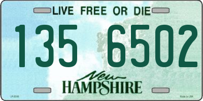 NH license plate 1356502