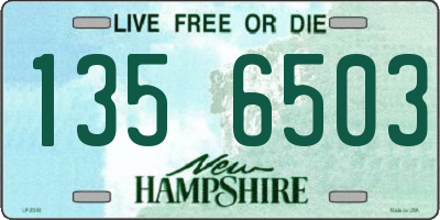 NH license plate 1356503