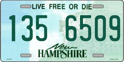 NH license plate 1356509