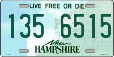 NH license plate 1356515
