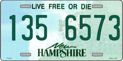 NH license plate 1356573