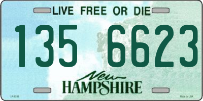 NH license plate 1356623
