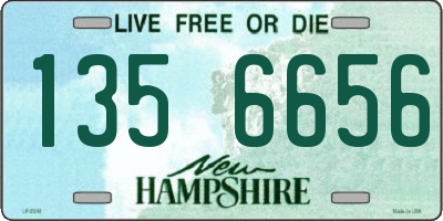 NH license plate 1356656