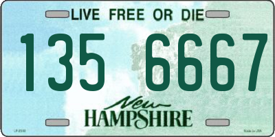 NH license plate 1356667