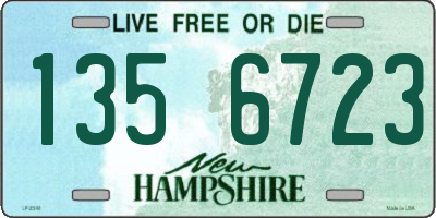 NH license plate 1356723