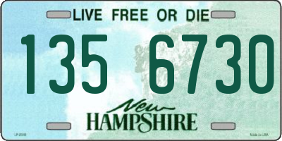 NH license plate 1356730