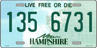 NH license plate 1356731