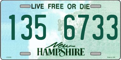 NH license plate 1356733