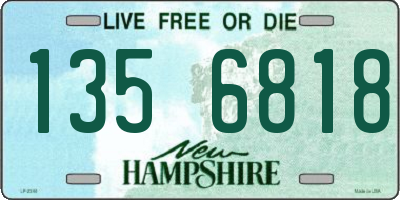 NH license plate 1356818