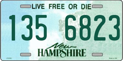 NH license plate 1356823