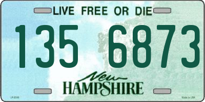 NH license plate 1356873