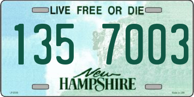 NH license plate 1357003
