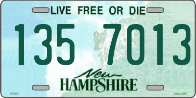 NH license plate 1357013