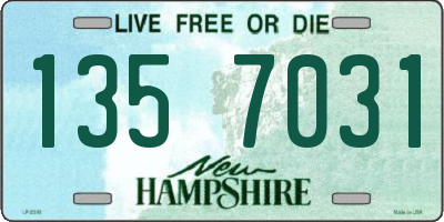 NH license plate 1357031