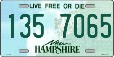 NH license plate 1357065