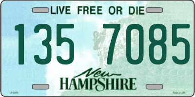 NH license plate 1357085