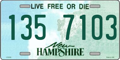 NH license plate 1357103