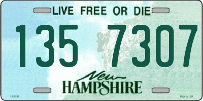 NH license plate 1357307