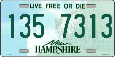 NH license plate 1357313