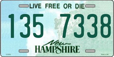 NH license plate 1357338