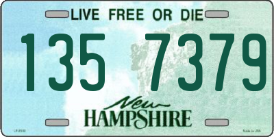 NH license plate 1357379
