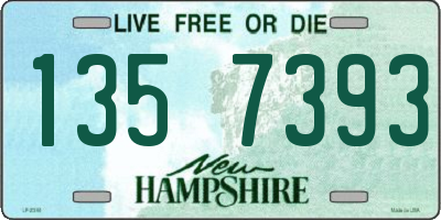 NH license plate 1357393