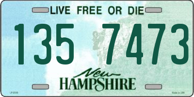 NH license plate 1357473