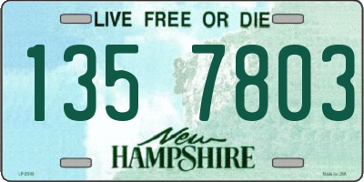 NH license plate 1357803