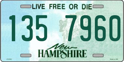 NH license plate 1357960