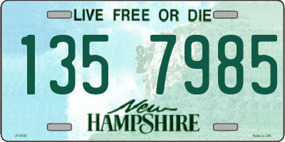 NH license plate 1357985