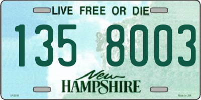 NH license plate 1358003