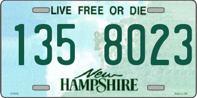 NH license plate 1358023