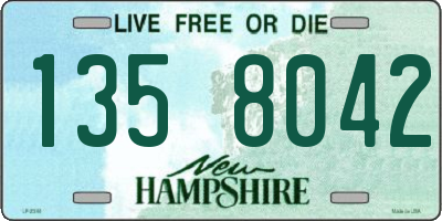 NH license plate 1358042
