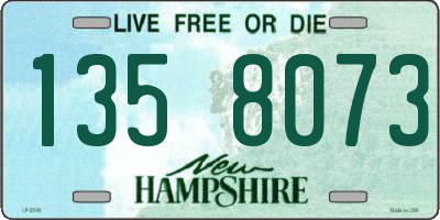 NH license plate 1358073