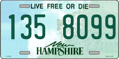 NH license plate 1358099