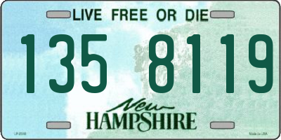 NH license plate 1358119