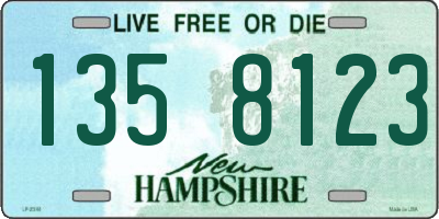 NH license plate 1358123