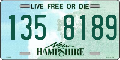 NH license plate 1358189