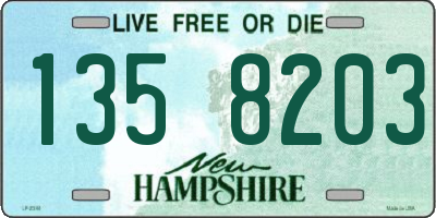 NH license plate 1358203