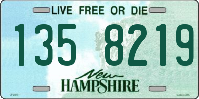 NH license plate 1358219