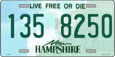 NH license plate 1358250