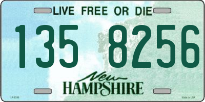 NH license plate 1358256