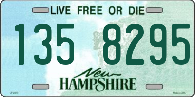 NH license plate 1358295
