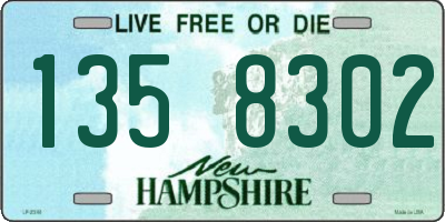 NH license plate 1358302