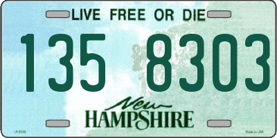 NH license plate 1358303